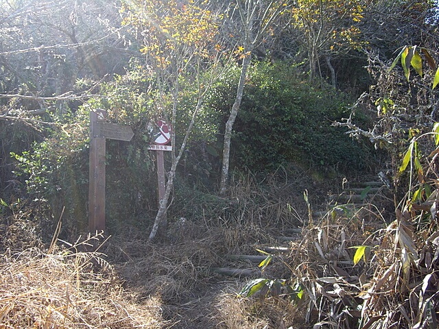 珠湖登山口