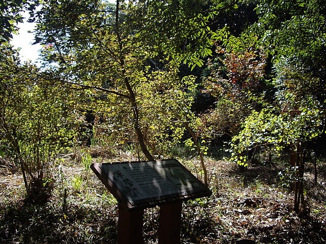 馬那邦山(珠湖線)、細道邦山