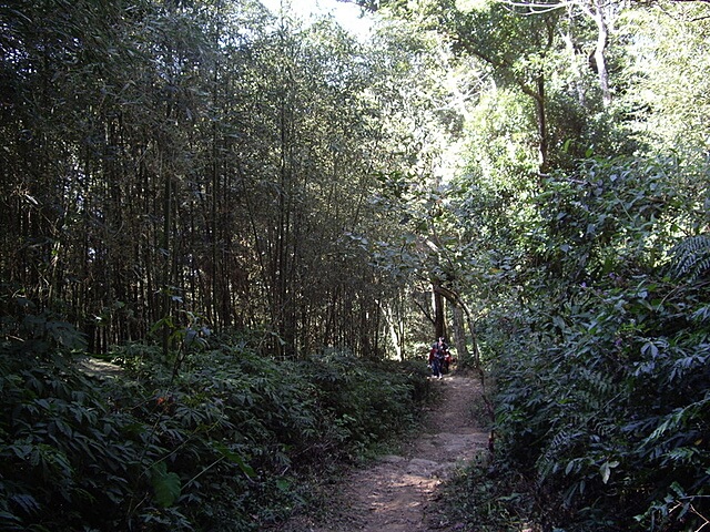 馬那邦山(珠湖線)、細道邦山