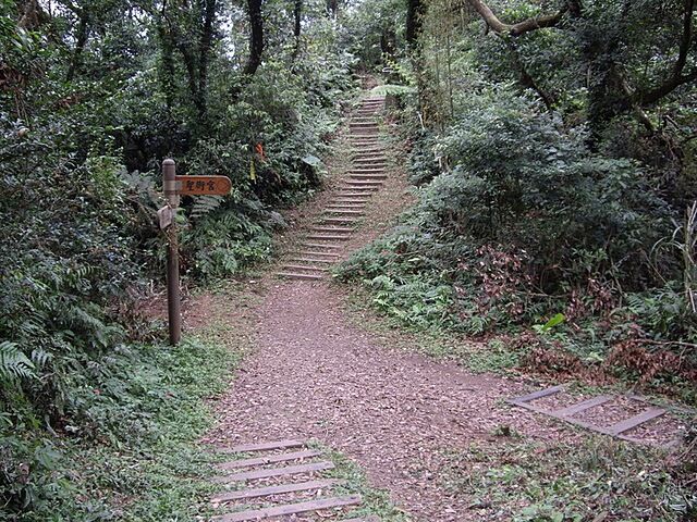 新百二分山、出關古道東段