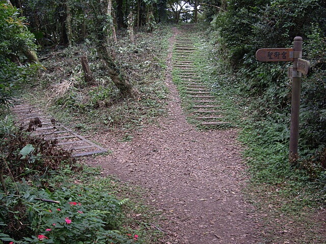 新百二分山、出關古道東段