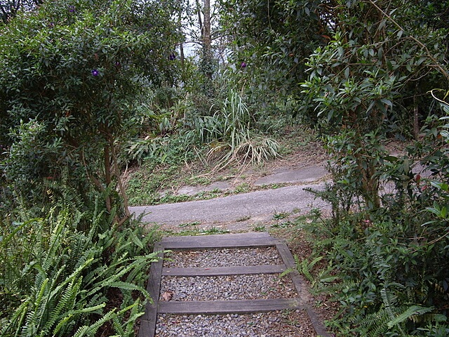 新百二分山、出關古道東段