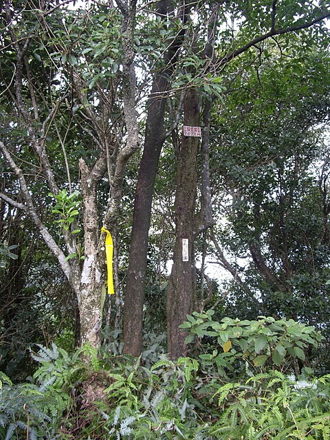 二格山、二格山西峰、貓空圓山、貓空圓山東北峰