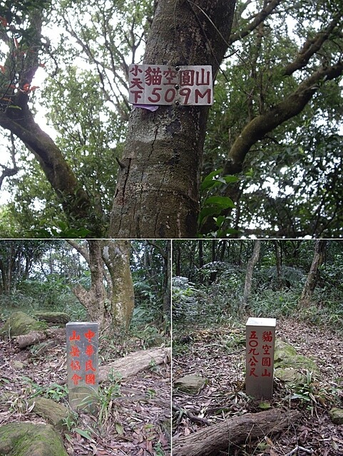 二格山、二格山西峰、貓空圓山、貓空圓山東北峰