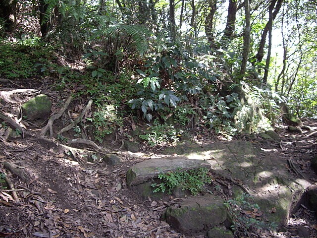 二格山、二格山西峰、貓空圓山、貓空圓山東北峰