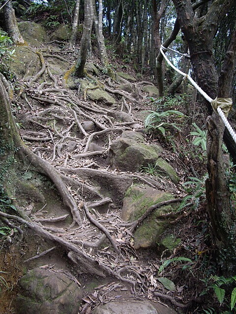 二格山、二格山西峰、貓空圓山、貓空圓山東北峰