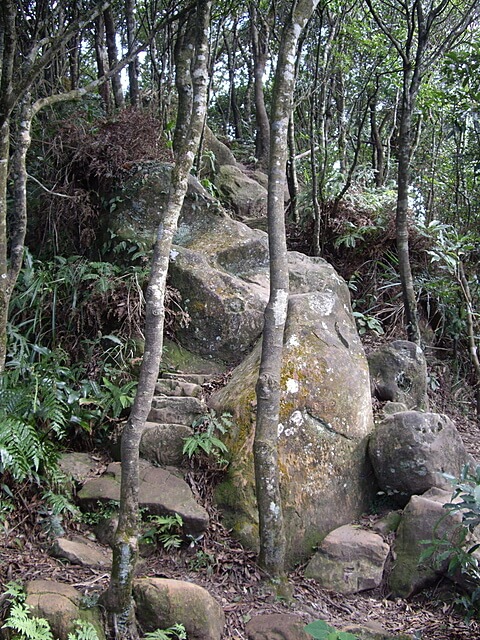 二格山、二格山西峰、貓空圓山、貓空圓山東北峰