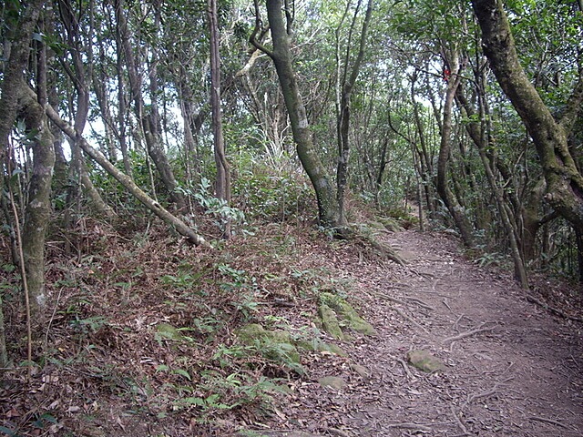 二格山、二格山西峰、貓空圓山、貓空圓山東北峰