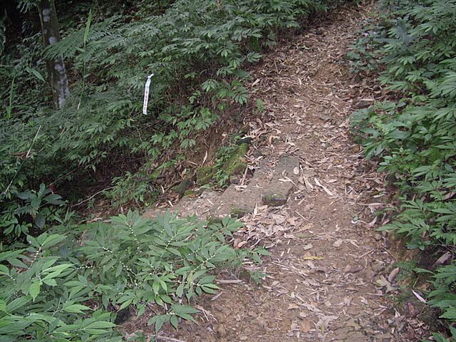 二格山、二格山西峰、貓空圓山、貓空圓山東北峰