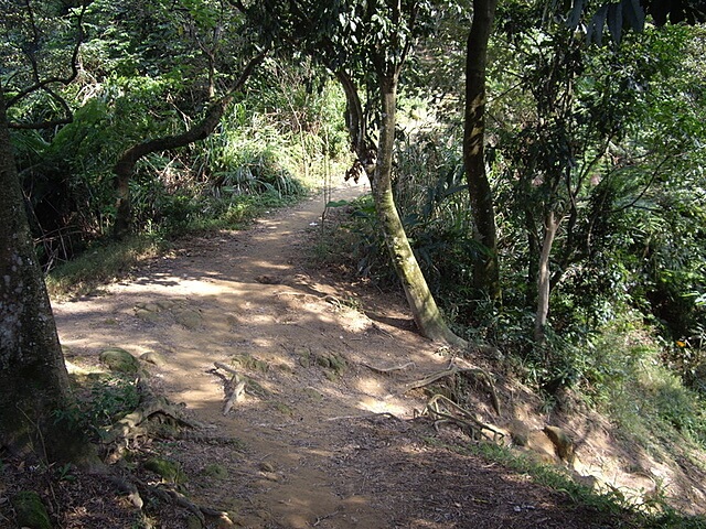 外挖子山、南勢角山