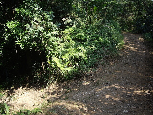 外挖子山、南勢角山