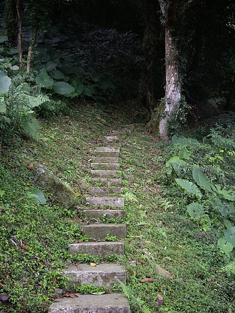 牌子山、金平山