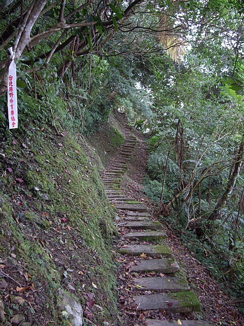 牌子山、金平山