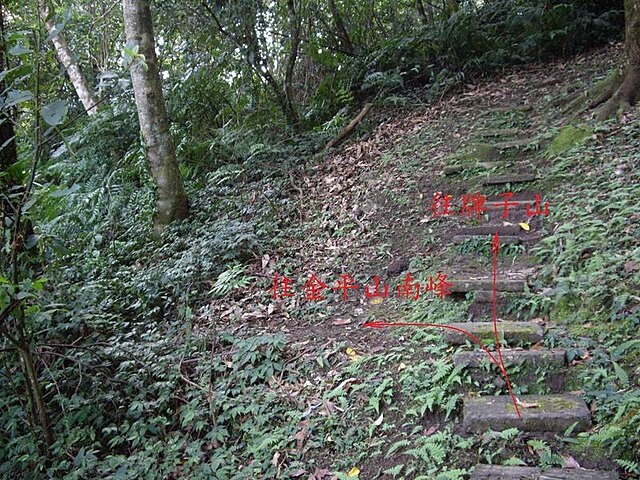 牌子山、金平山