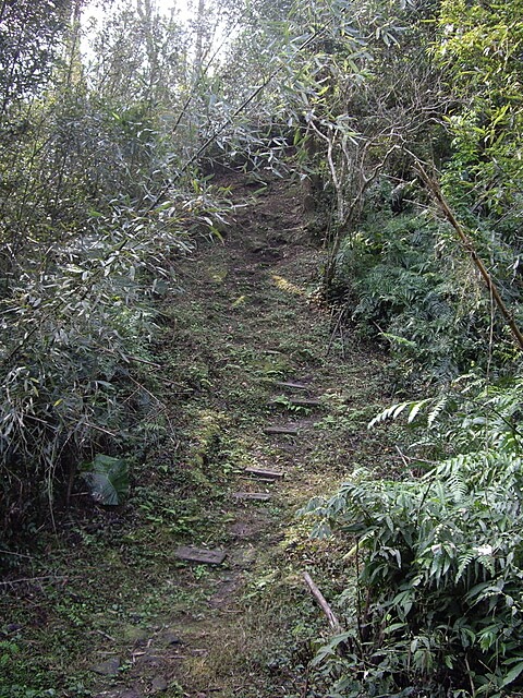 牌子山、金平山