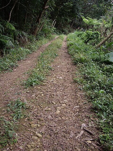 牌子山、金平山