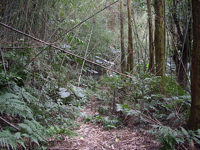 牌子山、金平山