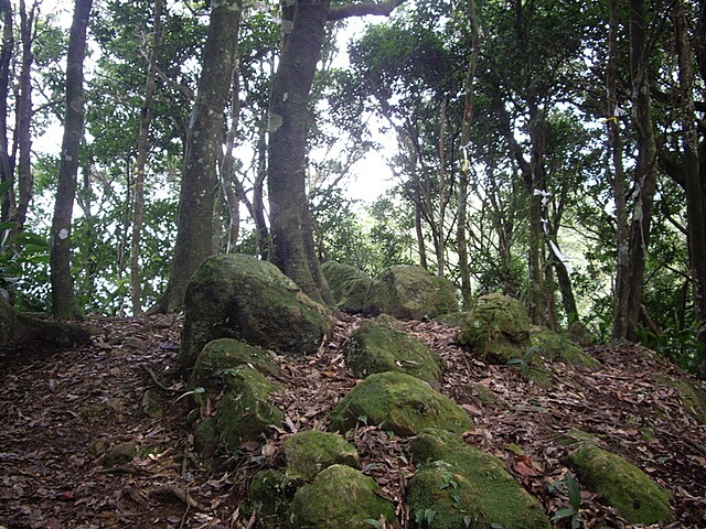 牌子山、金平山