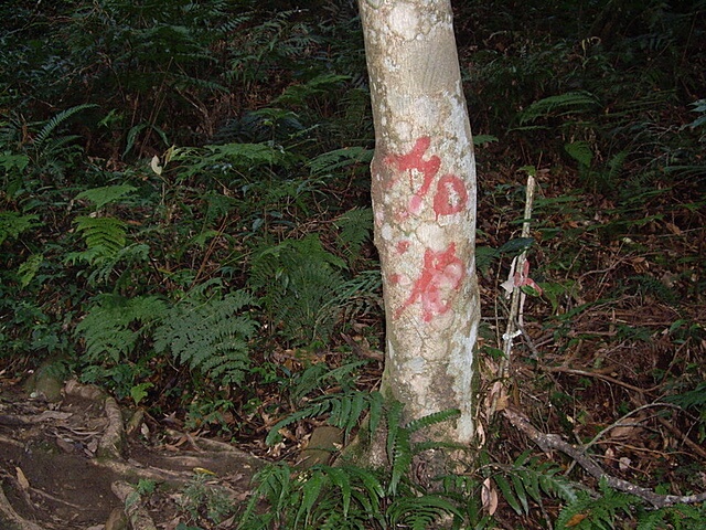 哈堪尼山