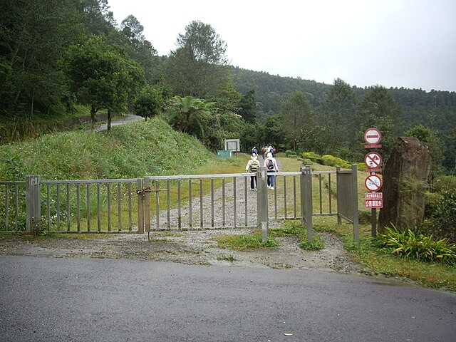 東眼山林道