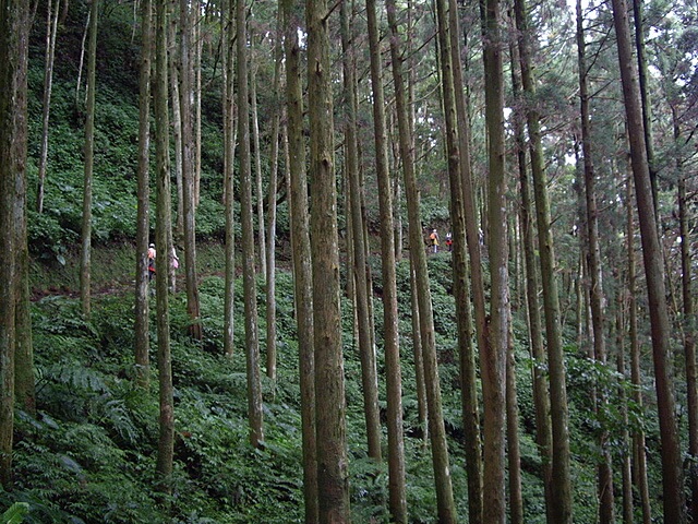 東滿步道