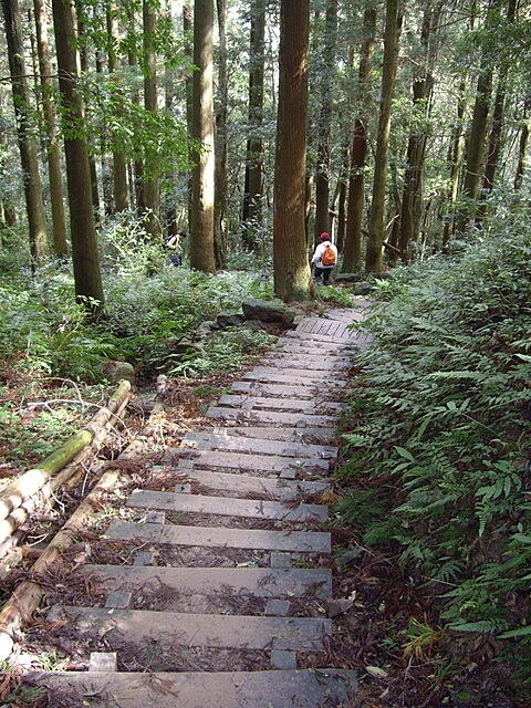 東滿步道