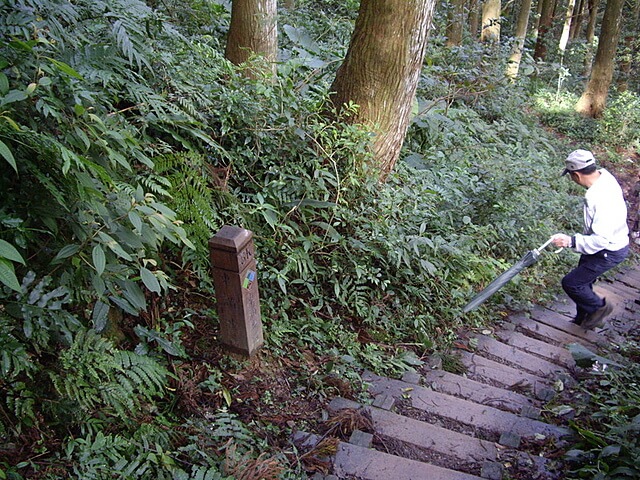 東滿步道