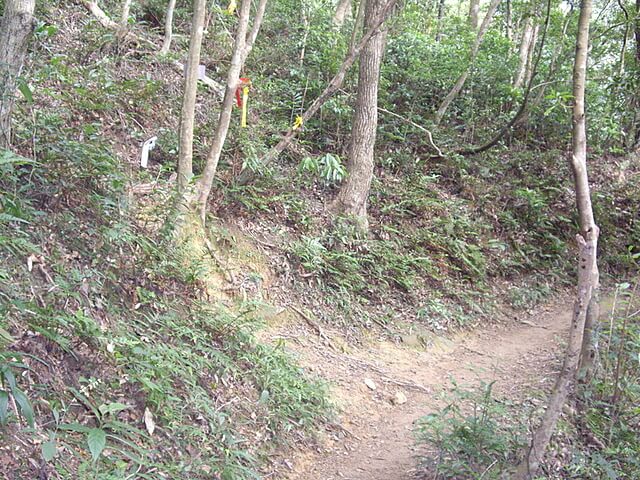 東滿步道