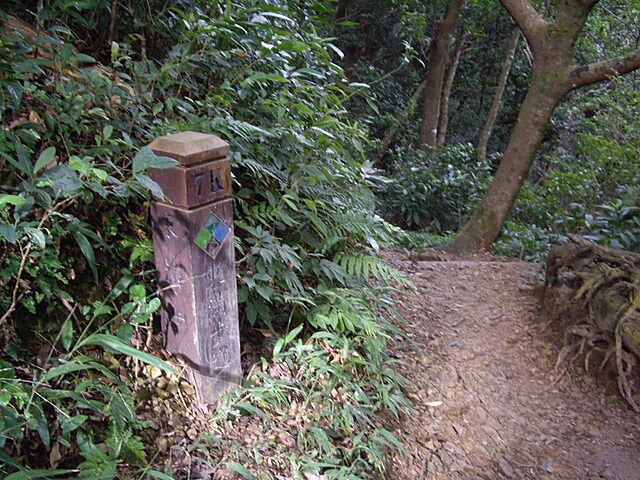 東滿步道