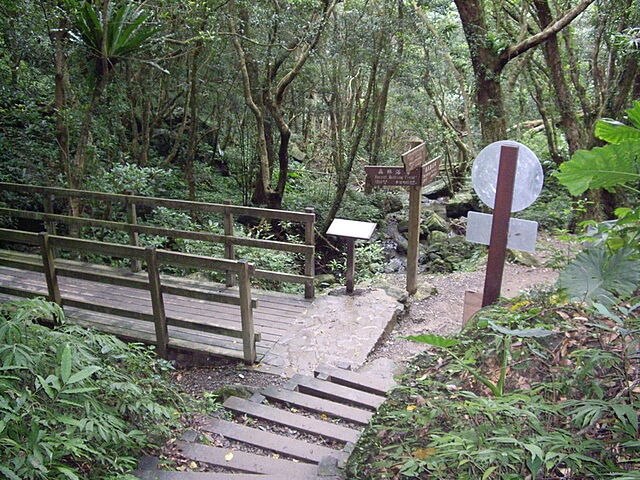 滿月圓森林遊樂區 東滿步道