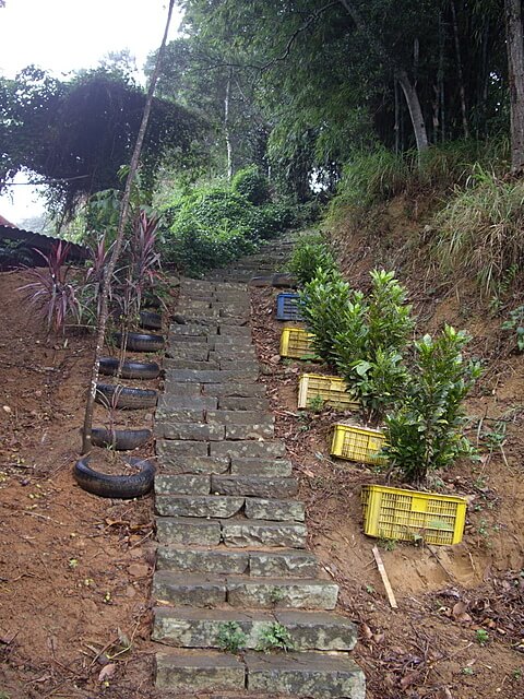 老崎休憩步道、老崎坪頂山