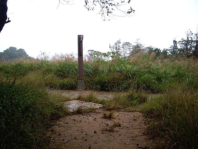 老崎休憩步道、老崎坪頂山