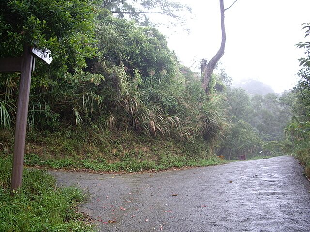 鹿廚坑自然步道、鹿廚坑山