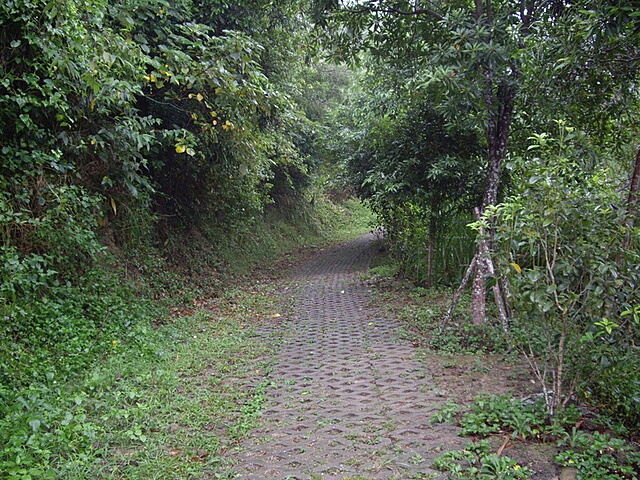 鹿廚坑自然步道、鹿廚坑山