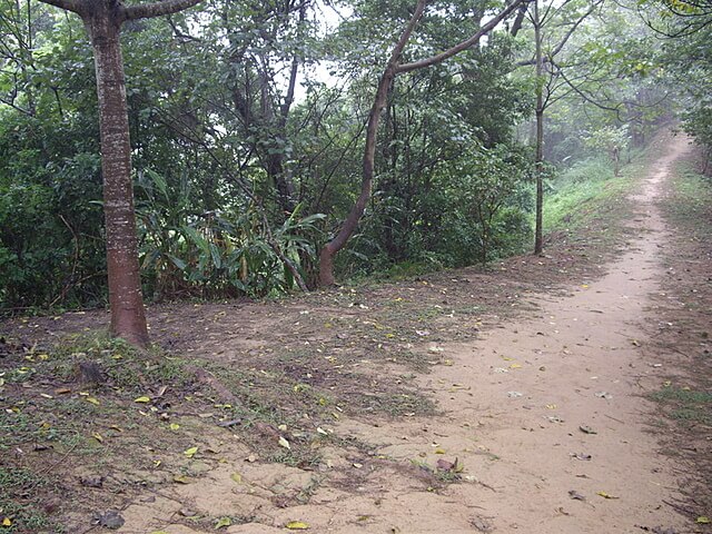 鹿廚坑自然步道、鹿廚坑山