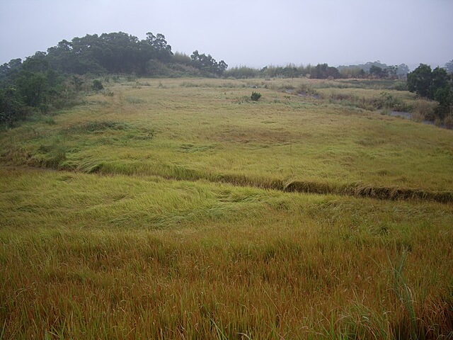 鹿廚坑自然步道、鹿廚坑山