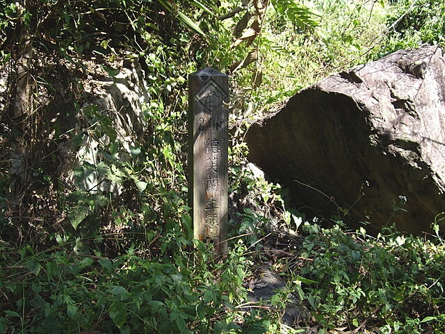 德芙蘭步道3K木樁