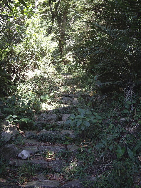 德芙蘭生態步道
