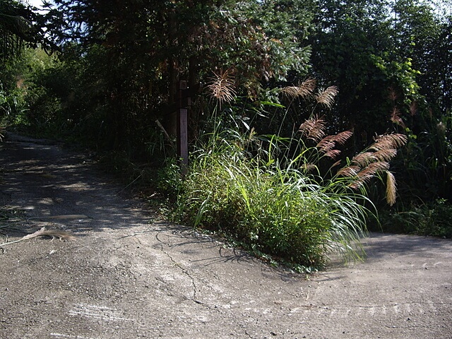 熊佧山、鷂婆山