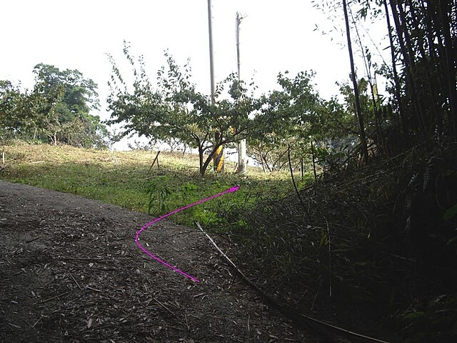 熊佧山、鷂婆山