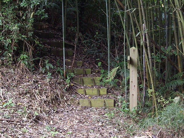 熊佧山、鷂婆山