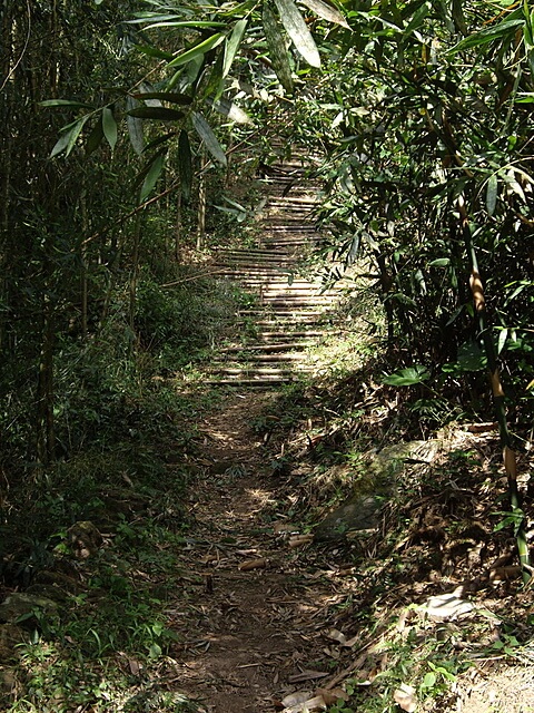 熊佧山、鷂婆山