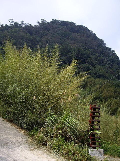 熊佧山、鷂婆山