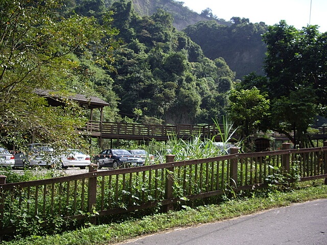 桐林花廊步道、奧山步道、奧山、樟樹林步道、北坑溪步道