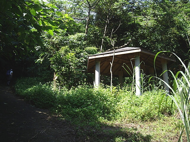 桐林花廊步道、奧山步道、奧山、樟樹林步道、北坑溪步道