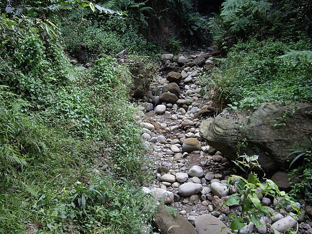 桐林花廊步道、奧山步道、奧山、樟樹林步道、北坑溪步道