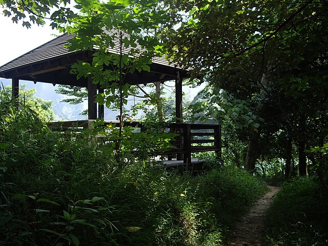 桐林花廊步道、奧山步道、奧山、樟樹林步道、北坑溪步道