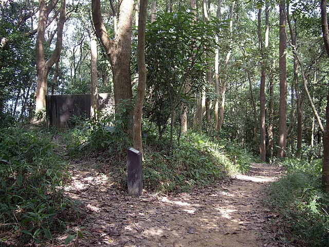 桐林花廊步道、奧山步道、奧山、樟樹林步道、北坑溪步道
