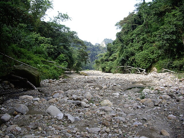 桐林花廊步道、奧山步道、奧山、樟樹林步道、北坑溪步道