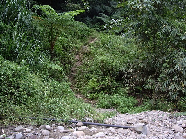 桐林花廊步道、奧山步道、奧山、樟樹林步道、北坑溪步道
